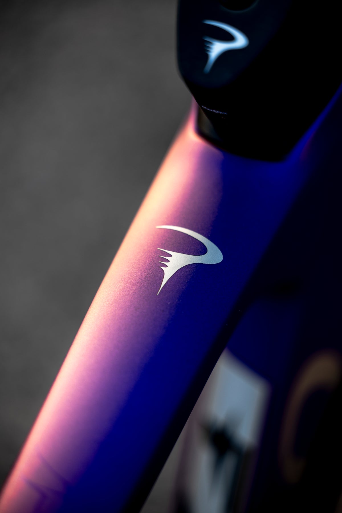 2027 Pinarello F7 Shimano Ultegra Di2