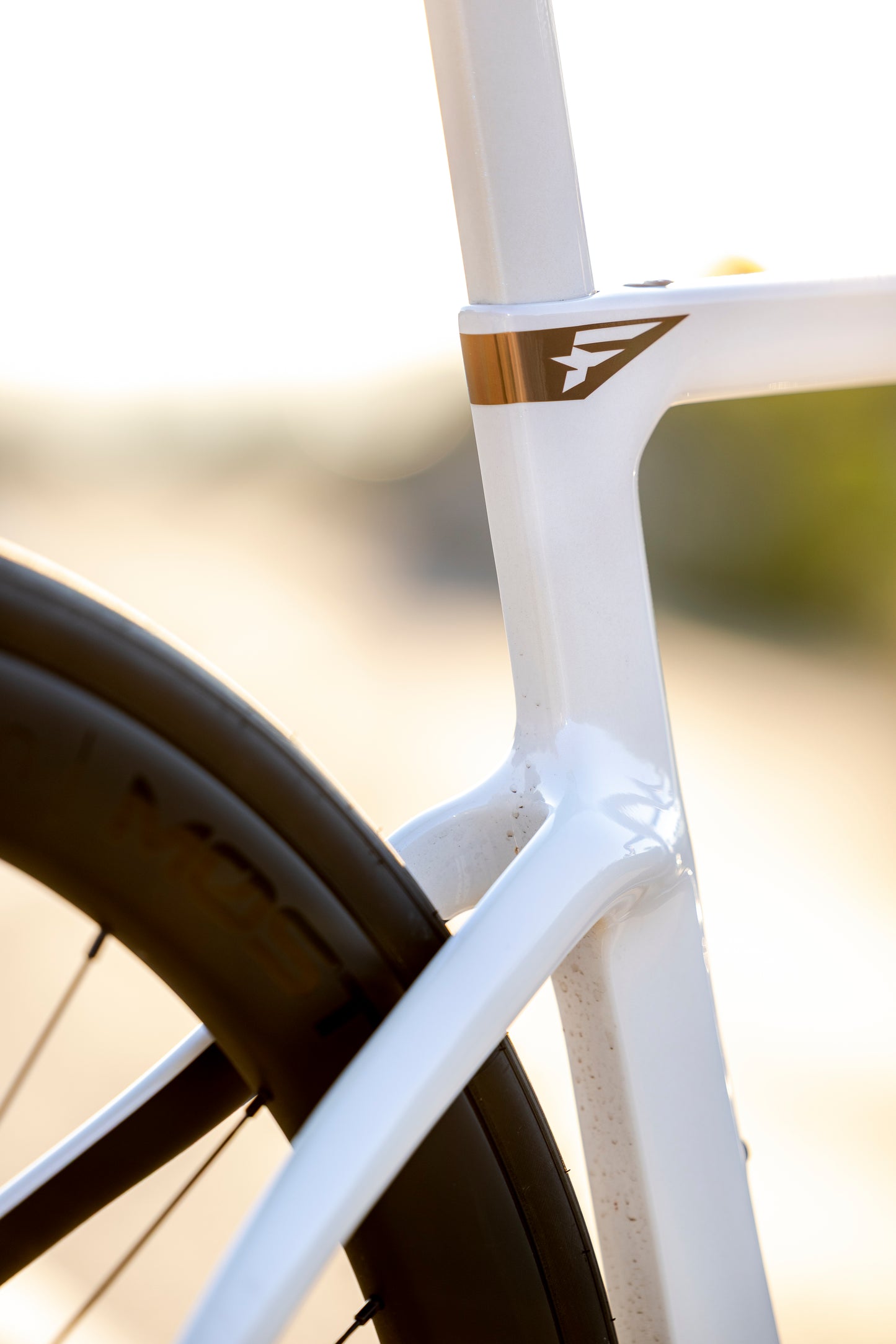 Pinarello My26 Bike F3 CH231 Alabaster White 105Di22x12DB A1800DB